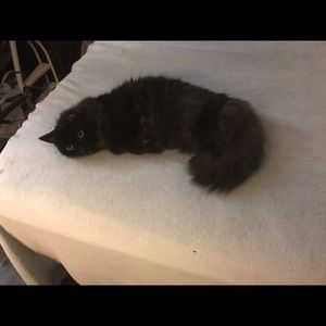 Meet your Posher, Jan